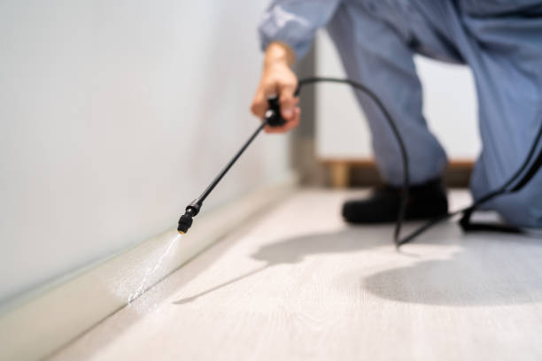 Licensed Cockroach Control service in Manchester, MD - Nex Pest Control